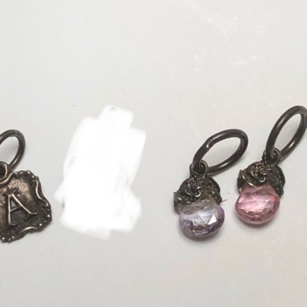 Waxing Poetic Silver Charms
